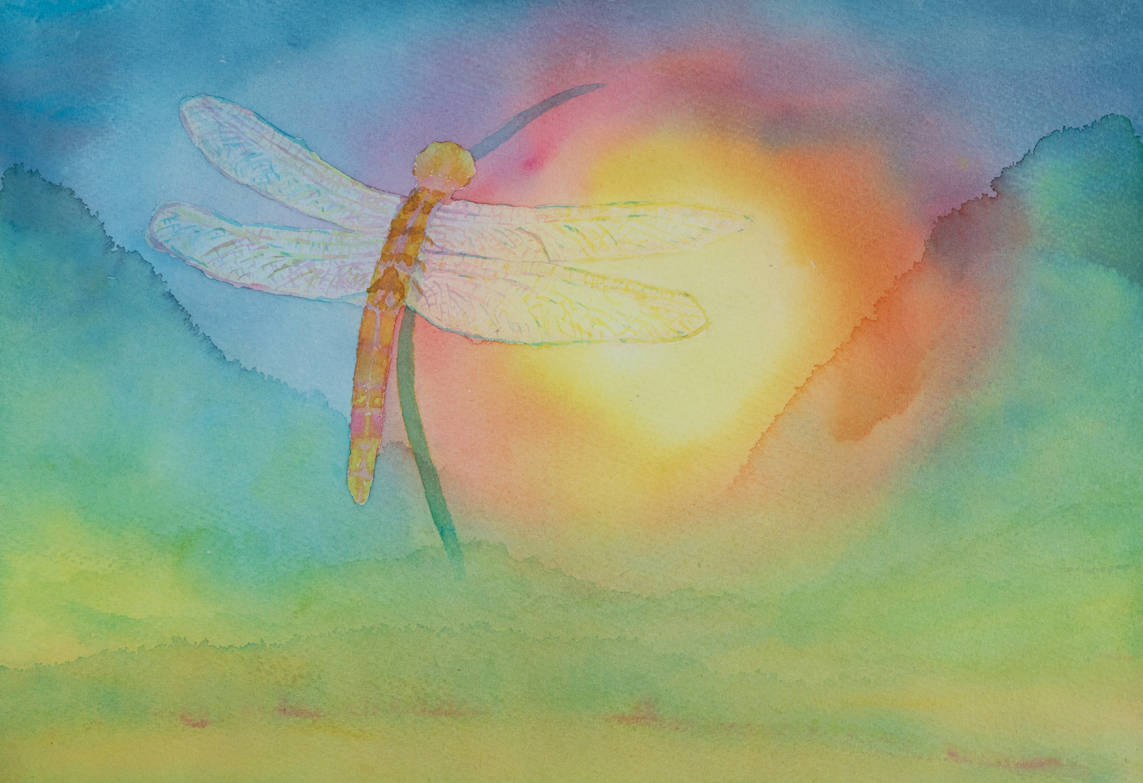 Gary Hindmarsh Dragonfly at Sunrise